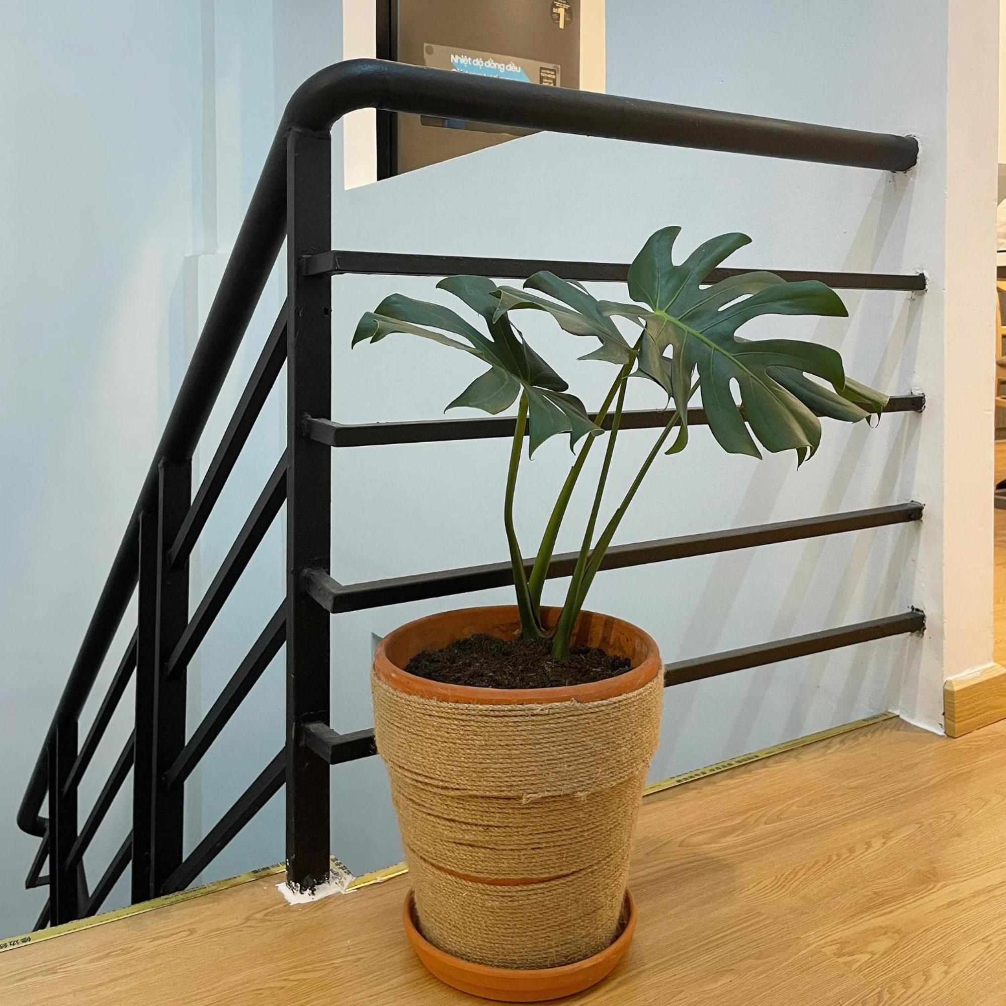 Alphabet Home Capsule Hô Chi Minh-Ville Extérieur photo